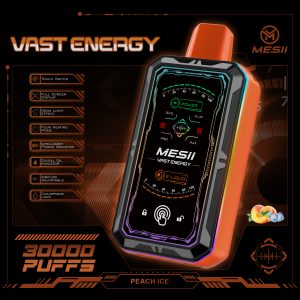 MESII VAST ENERGY 30000 puffs Full display Vaper