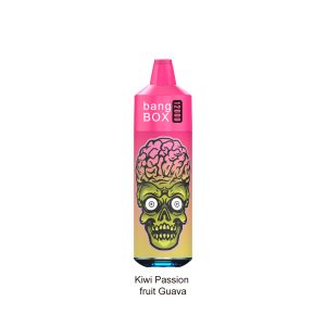 Bang Box 12k Puffs 0% 2% 3% 5% Nicotine vaper