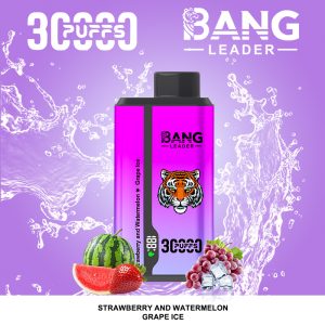 Bangleader 30k puffs dual flavor vaper