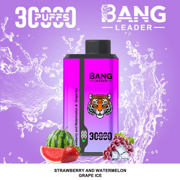 Bangleader 30k puffs dual flavor vaper