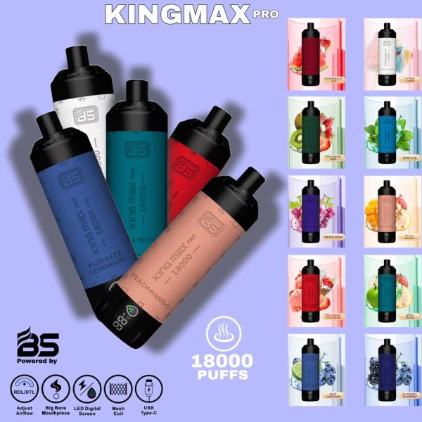 BS Kingmax Pro 18000 puffs shisha vape pen - Image 2