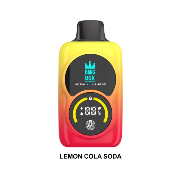 Bangbox 35K puffs Touch Screen Vaper - Image 3