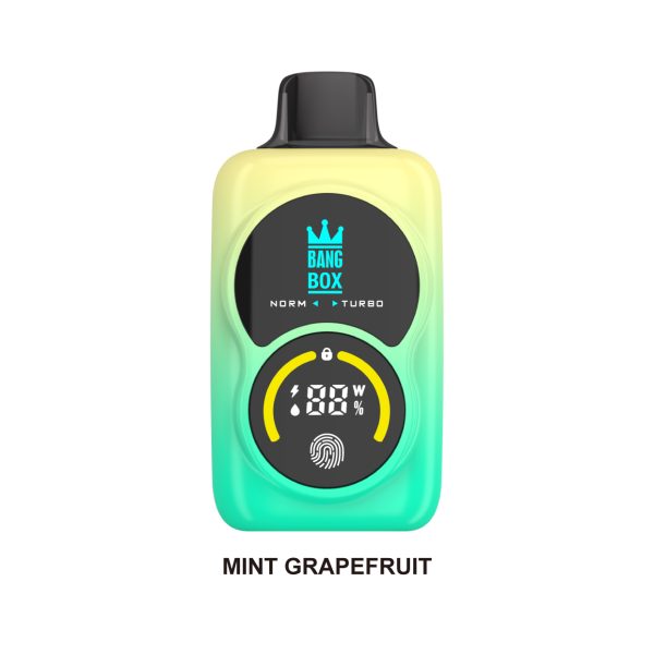 Bangbox 35K puffs Touch Screen Vaper - Image 2