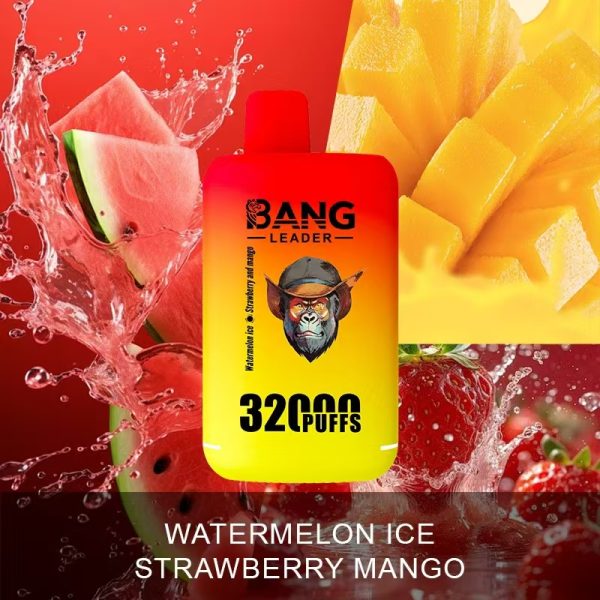 Bandleader 32k wholesale vape dual flavors