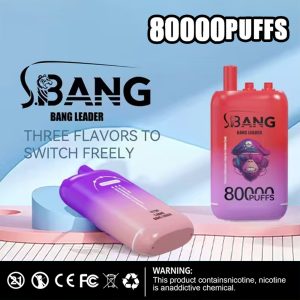 Bangleader 80k puffs 3 in 1 vaper triple flavor ecigs