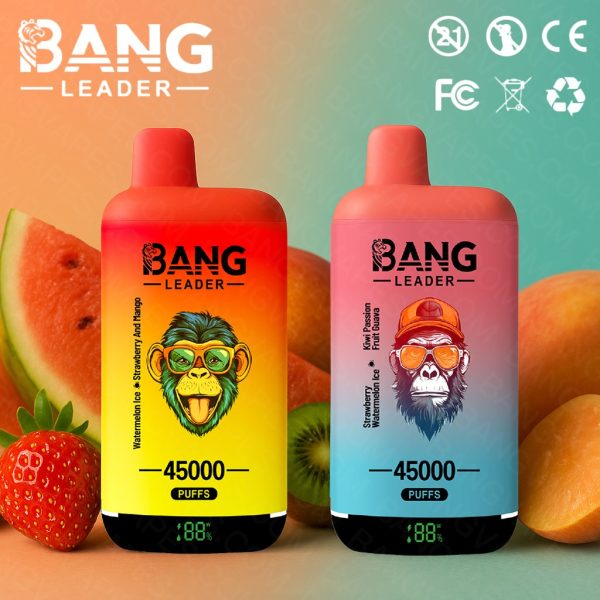BANGLEADER 45K Puffs double flavor vaper e-cigarette