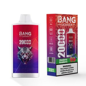BANG LEADER 20k puffs disposable vape pen