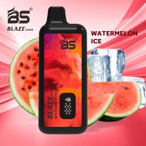 BS BLAZE 10000 puffs vape Vaporizador