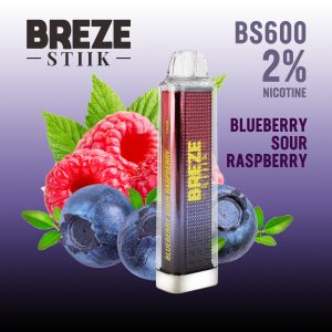 Breze Stiik BS600 puffs TPD certificated vaper