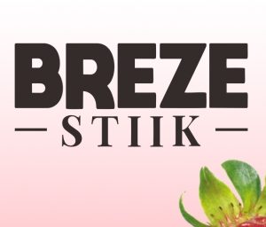 Breze stiik
