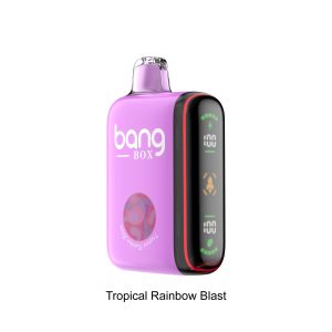 Bangbox double mode vaper 9K  18K puff side screen
