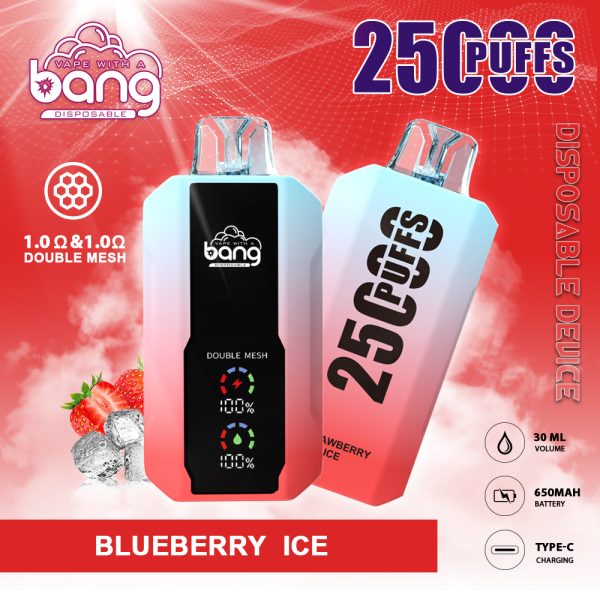Bang 25k puffs disposable e-cigarette vape