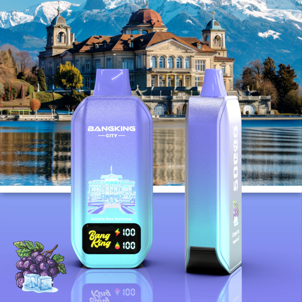 Bangking 5000 puffs city logo wholesale vape - Image 3