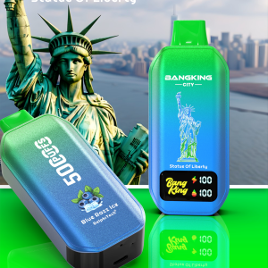 Bangking 5000 puffs city logo wholesale vape