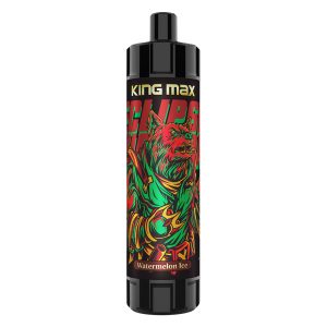 Breze stiik Kingmax 10000 puffs DTL Vaper Shisha pen