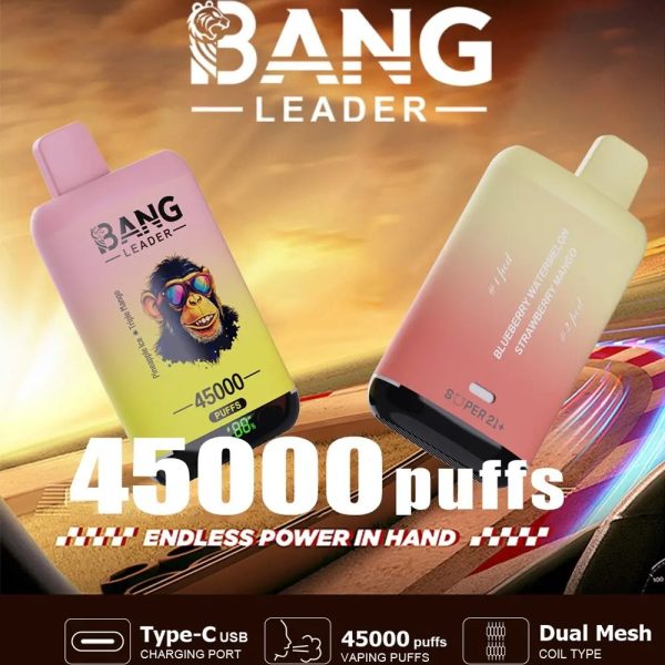 The best disposable vape double flavor 45k puffs - Image 5