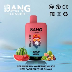 The best disposable vape double flavor 45k puffs
