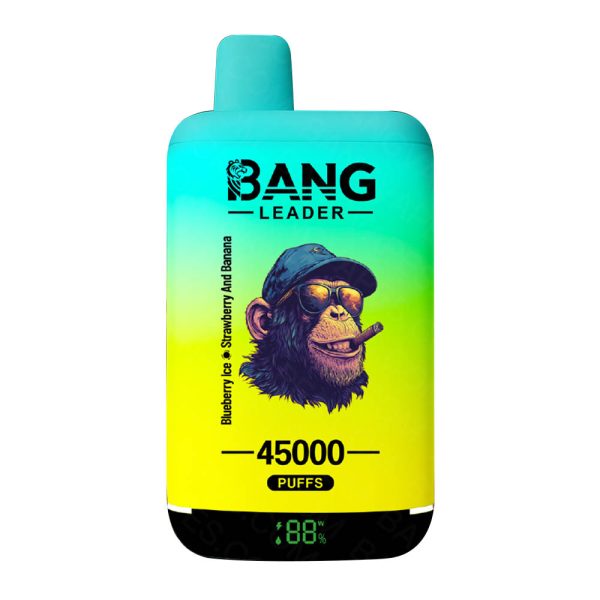 The best disposable vape double flavor 45k puffs - Image 6
