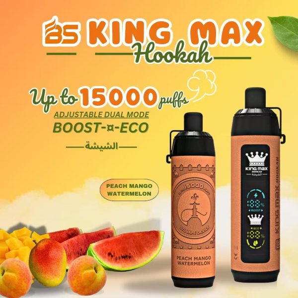 BS kingmax hookah shisha flavor 15000 puffs DTL - Image 6