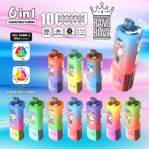 BangBlaze 6 in 1 vaper 100k puffs ecigs