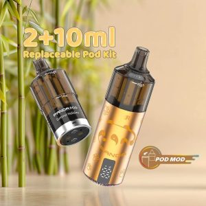 Refillable 2Ml Vape Pod Kit 2ML TPE E cigarette JNR Panda Puff 25500 2% Nicotine 10 Flavors with 10ml vape juice bottle