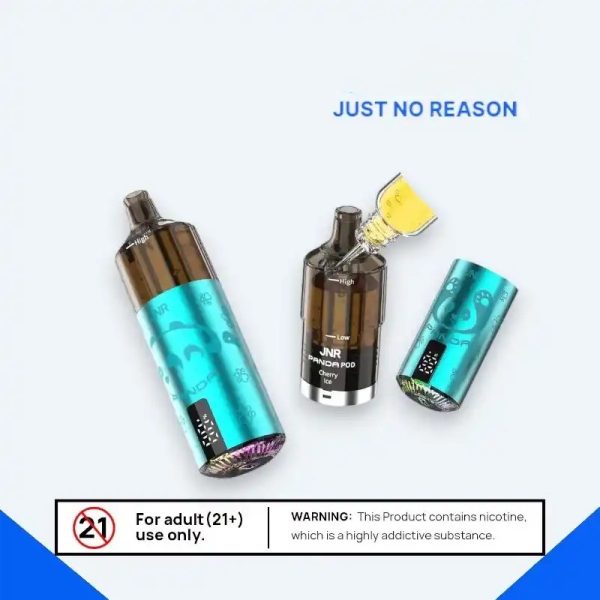 Refillable 2Ml Vape Pod Kit 2ML TPE E cigarette JNR Panda Puff 25500 2% Nicotine 10 Flavors with 10ml vape juice bottle - Image 7