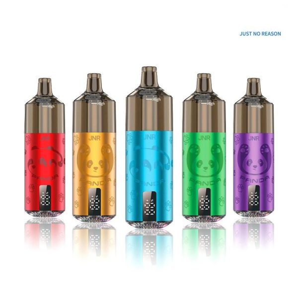 Refillable 2Ml Vape Pod Kit 2ML TPE E cigarette JNR Panda Puff 25500 2% Nicotine 10 Flavors with 10ml vape juice bottle - Image 2