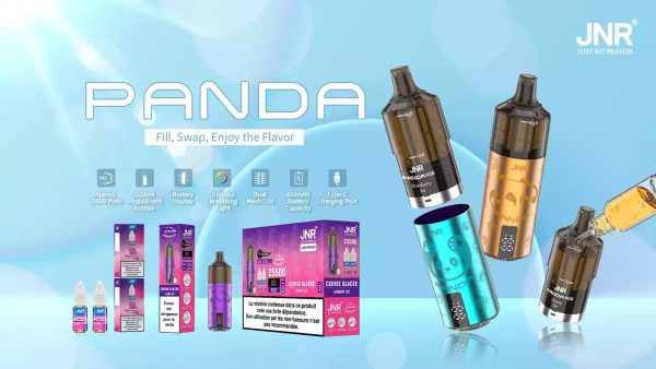 Refillable 2Ml Vape Pod Kit 2ML TPE E cigarette JNR Panda Puff 25500 2% Nicotine 10 Flavors with 10ml vape juice bottle - Image 4