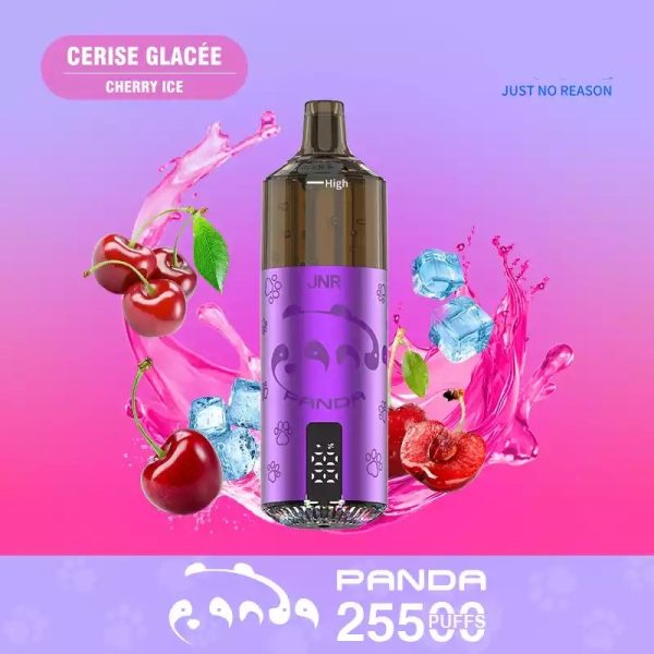 Refillable 2Ml Vape Pod Kit 2ML TPE E cigarette JNR Panda Puff 25500 2% Nicotine 10 Flavors with 10ml vape juice bottle - Image 3
