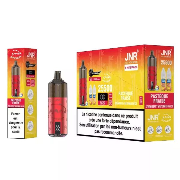 Refillable 2Ml Vape Pod Kit 2ML TPE E cigarette JNR Panda Puff 25500 2% Nicotine 10 Flavors with 10ml vape juice bottle - Image 6