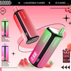 AIVONO Double Flavor 120K puffs disposable e-cigarette puff 120000 vaper (Copy)