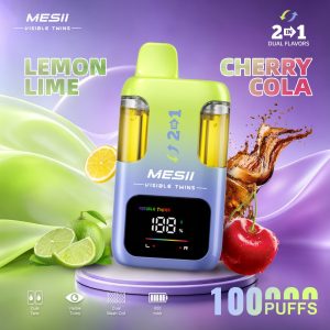 Wholesale OEM supply disposable electronic cigarette vape pen DU25 VisibleTwins 100k puff double flavor vaper
