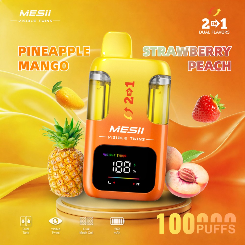 Wholesale OEM supply disposable electronic cigarette vape pen DU25 VisibleTwins 100k puff double flavor vaper - Image 2