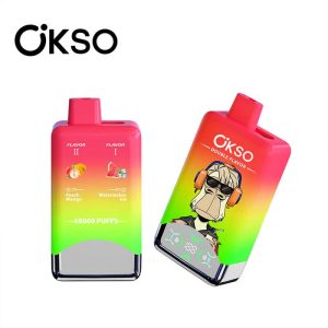 EU warehouse e-cigarette vaper OSKO Dual flavor 60k puffs wholesale e cigarettes wholesale price