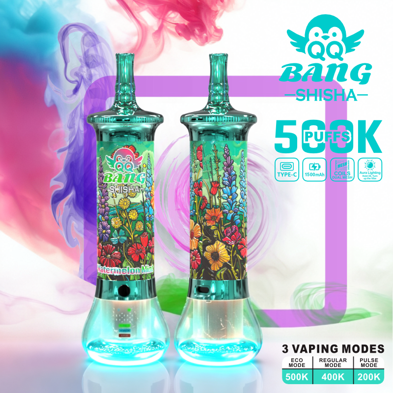 PaphosVape disposable e cigarette shisha hookah vape 500k puff - Image 6