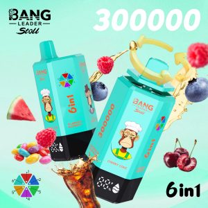 Bangleader Stoll 300K 6-in-1 Disposable Vape | Wholesale